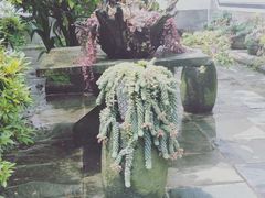 -寂照庵