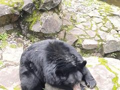 -杭州动物园