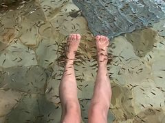 -天目湖涵田半山温泉