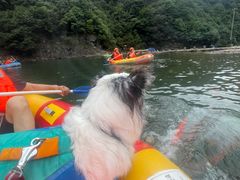 -安吉龙王山峡谷漂流