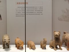 -重庆中国三峡博物馆(重庆博物馆)