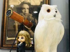 -泡泡玛特POPMART(上海环球港店)