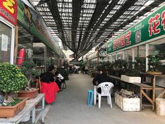 -龙大花卉苗木市场