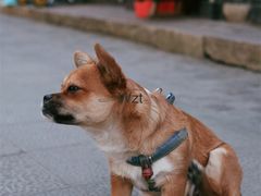 -川沙古镇-停车场