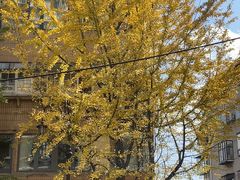 -红豆园(文林街店)