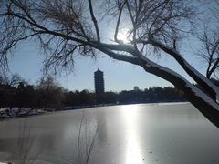 -北京大学-学五食堂