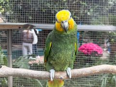 -大连森林动物园