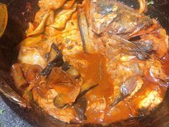 野生胖头鱼-满兴咱妈烀饼铁锅炖(兰州北街店)