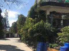 -乡村小榭饭店