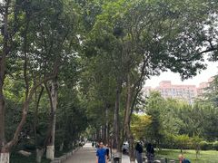 -莲湖公园