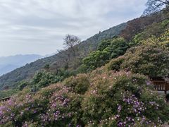 -广州市石门国家森林公园