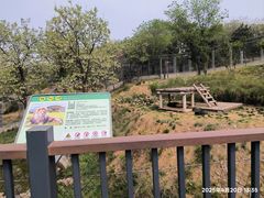 -石家庄市动物园