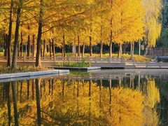 -泰州凤城河风景区-泰山公园