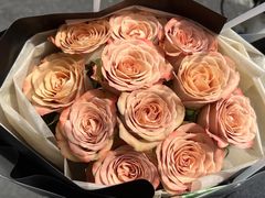 -LES ELITES 英集荟(南京西路店)