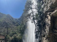 -青峰峡国家森林公园