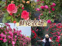 -栖露营camping·天幕烧烤·团建拓展·采摘营地