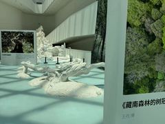-中国湿地博物馆