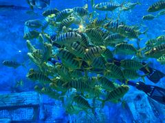 -横店影视城梦幻谷园区