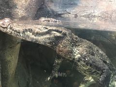 -哈尔滨波塞冬海底世界