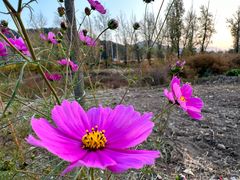-云岫谷游猎自然风景区