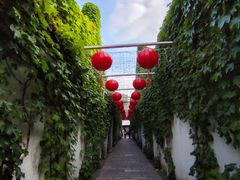-青果巷历史文化街区