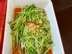 白灼豆苗-火宫殿·湘菜小吃·商务宴请·生日聚会(东塘店)