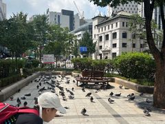 -新世界百货(明洞总店)