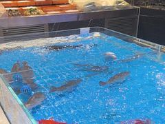-百姓渔村(南中环店)