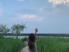 -绿堤公园