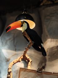 -Zoolung Zoolung动物主题公园(海信广场店)