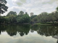 -晓港公园