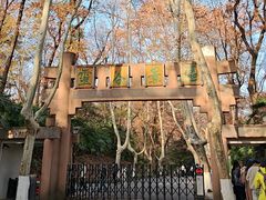 -灵谷景区