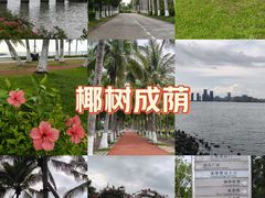 -万绿园
