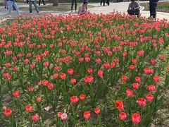 -长春公园(普阳街道)