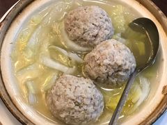 -丁老爷子苏香圆
