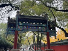 -北京国子监胡同