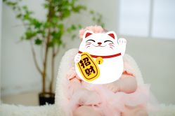 -小熊维尼高端儿童摄影(宝安旗舰店)