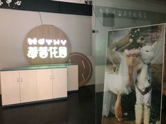 门面-藦茜花园宠物主题亲子互动体验馆(国顺东路店)
