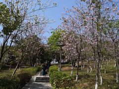 -聚龙山公园