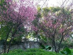 -乌山风景区
