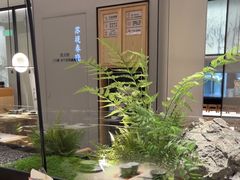 -绿茶餐厅(青岛城阳万象汇店)