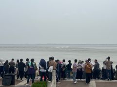 -观潮胜地公园