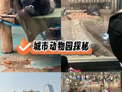-郑州市动物园
