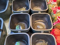 -烹湘·鲜炒湖南土菜(海珠店)