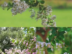 -徐家汇源景区-衡山公园