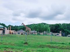 -哈尔滨北方森林动物园