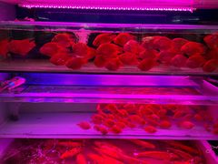 -青石桥花鸟鱼虫市场(叠翠城店)