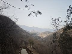 -白水寺森林公园