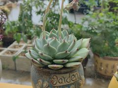 -房陵农家(东亭店)