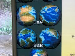 -上海昆虫博物馆